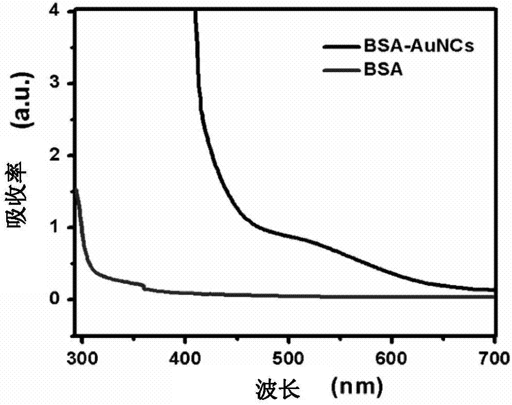 Synthesizing method of functionalized AuNc (gold nanocluster) based on BSA (bovine serum albumin) and application