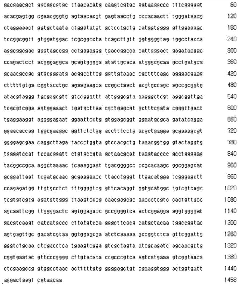 Novel cutibacterium granulosum strain, and composition comprising such strain or culture thereof for preventing or treating acne