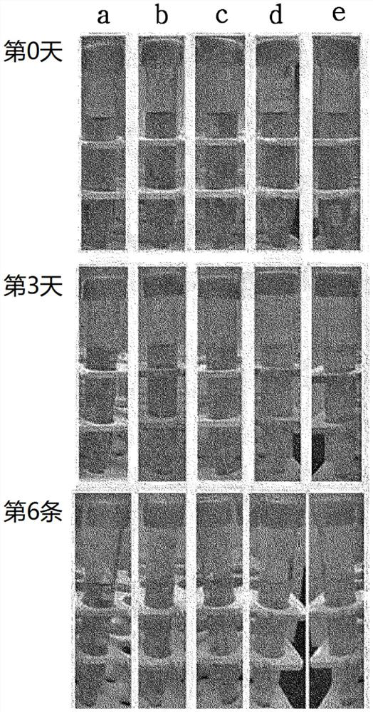 Novel cutibacterium granulosum strain, and composition comprising such strain or culture thereof for preventing or treating acne