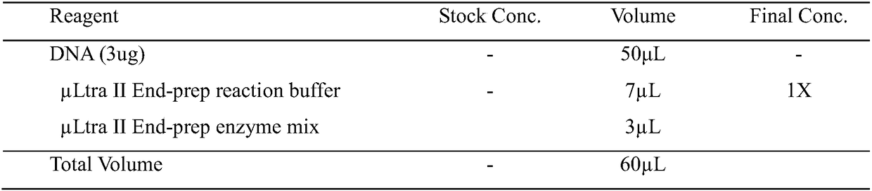 Magnetic bead reagent applied to screening super-long fragment nucleic acids and screening method