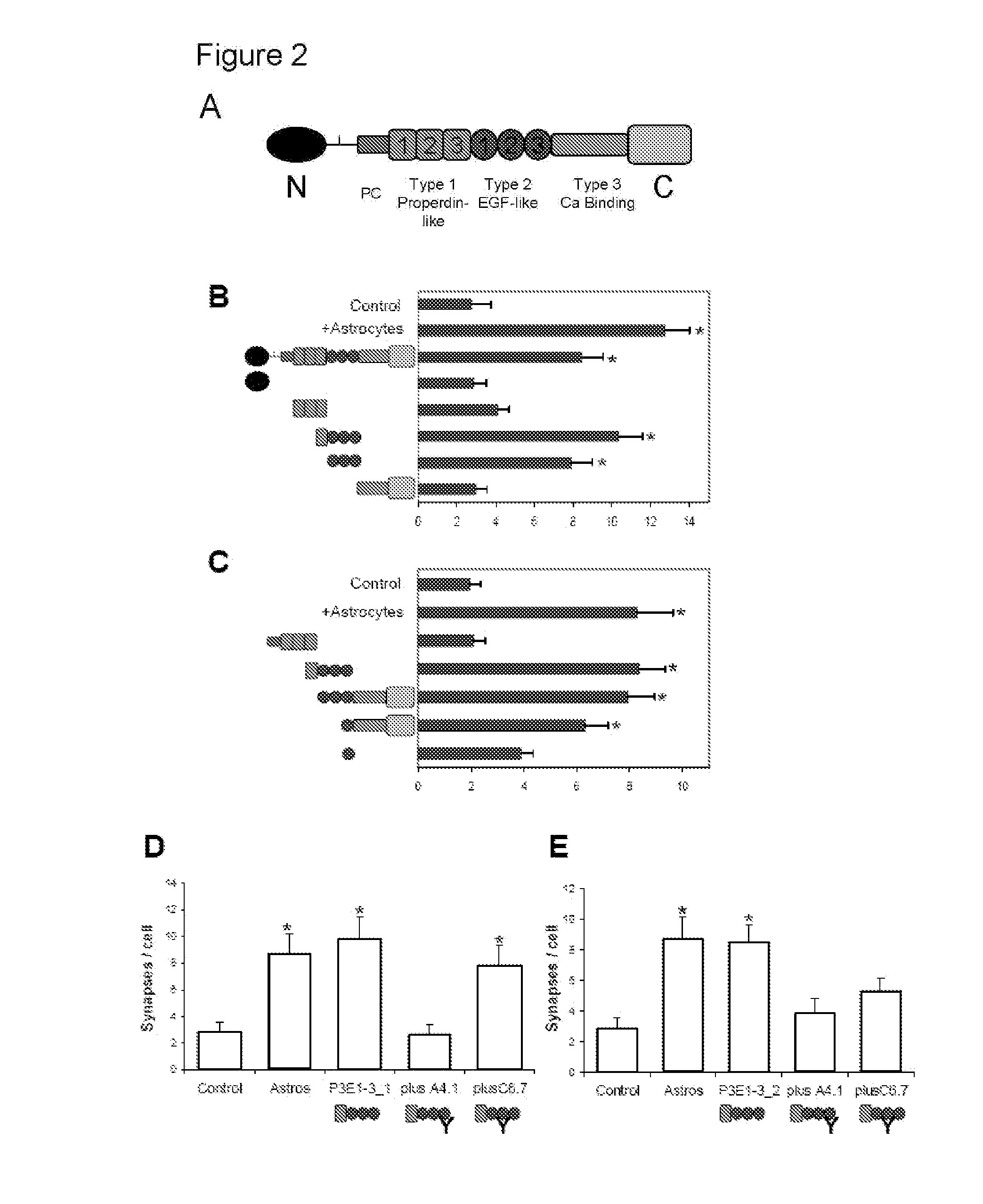 Modulation of synaptogenesis