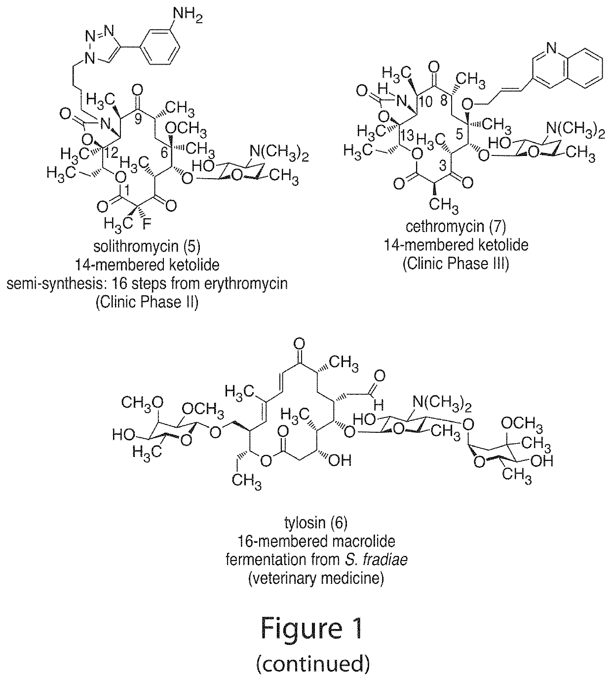 14-membered ketolides and methods of their preparation and use