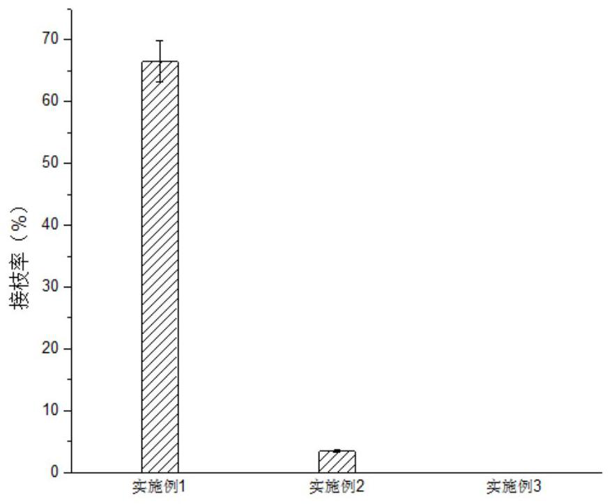 Water-resistant environment-friendly fiber filtering material and preparation method thereof