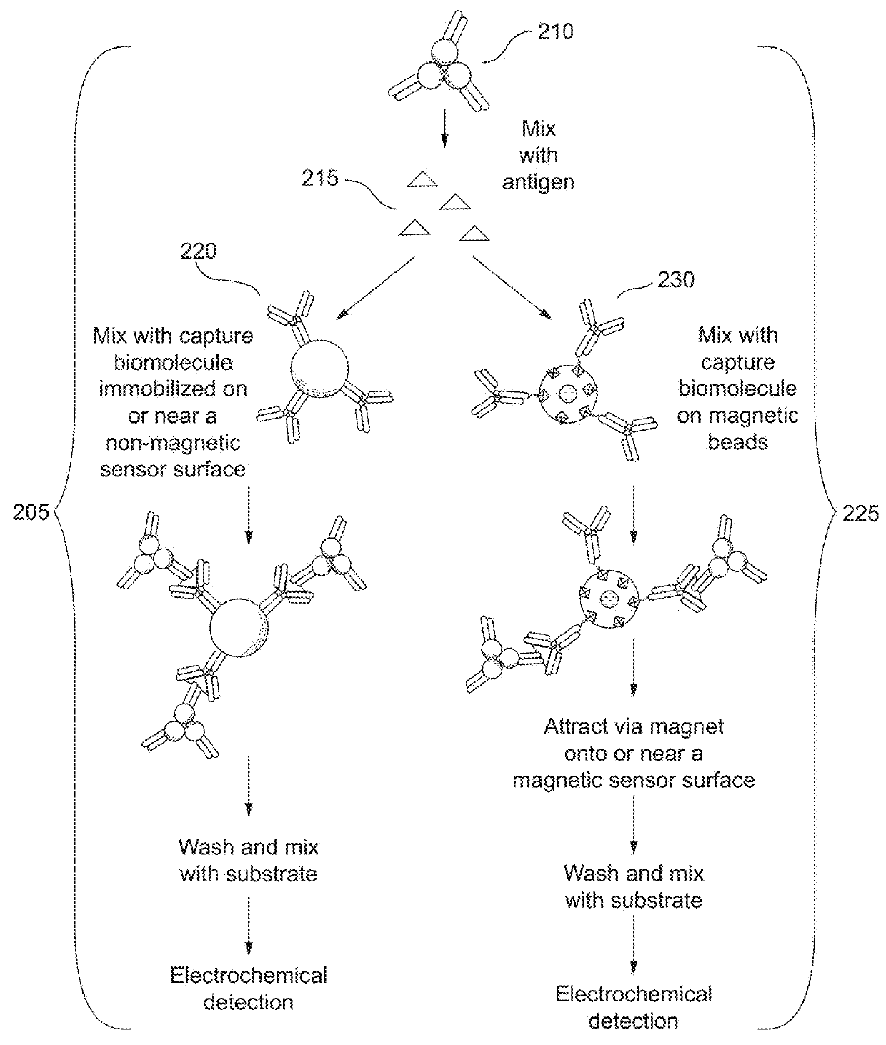 Combined immunoassay and magnetic immunoassay systems and devices for extended range of sensitivity