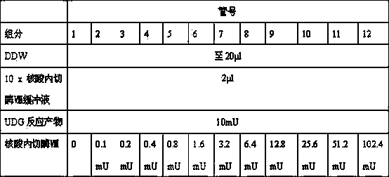 An endonuclease VIII activity measuring method