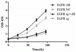 Method for knocking out EGFRwt and EGFRvIII simultaneously from glioblastoma multiforme