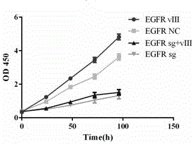 Method for knocking out EGFRwt and EGFRvIII simultaneously from glioblastoma multiforme