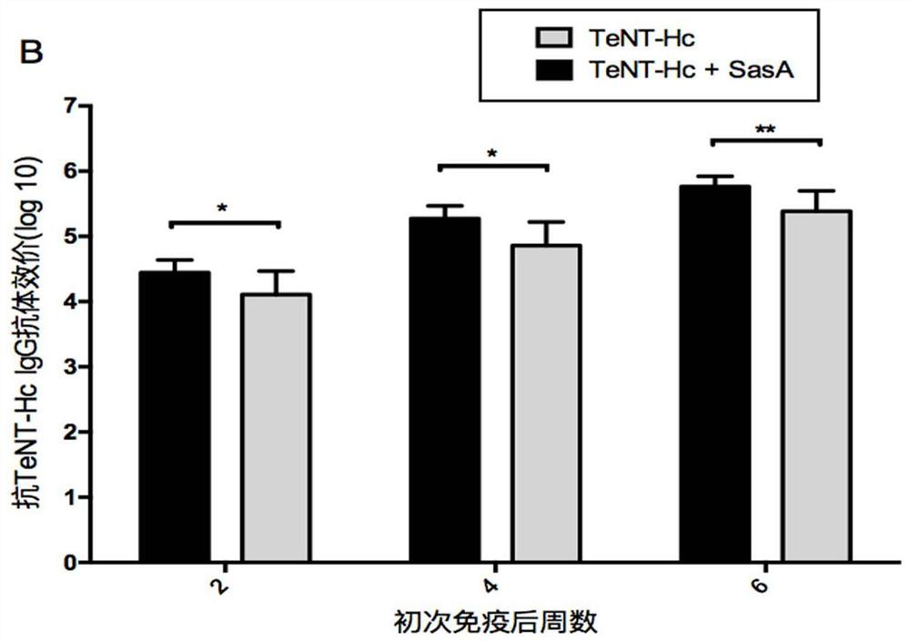 A combined vaccine for the prevention of Staphylococcus aureus infection and tetanus