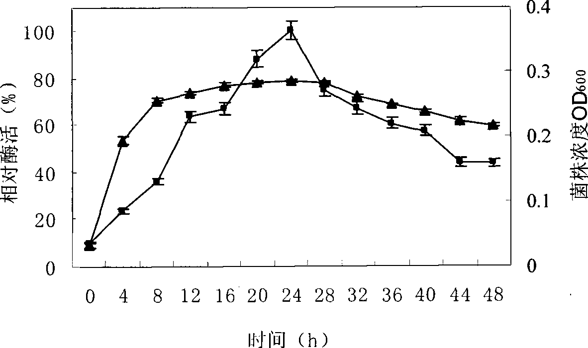 Method for preparing dextran enzyme by marine bacteria Pseudoalteromonas sp.LP621 and product