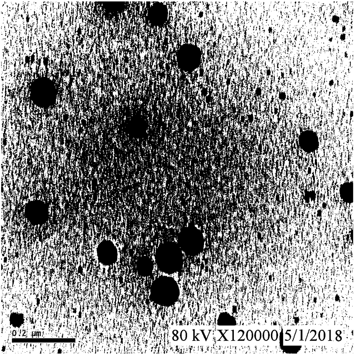 Composite aureomycin and chloramphenicol nano emulsion as well as preparation method and application thereof