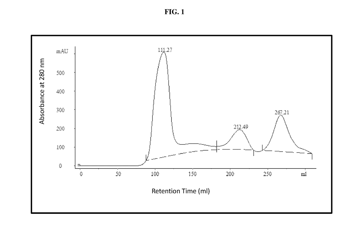 Constructs targeting afp peptide/mhc complexes and uses thereof