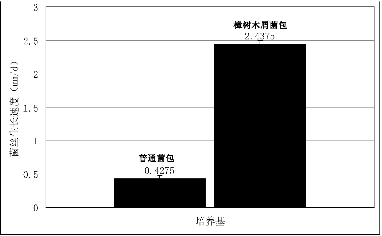 Production method of antrodia camphorata stock seeds