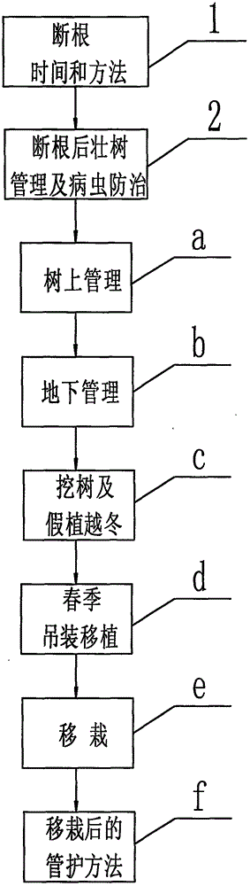 Method for transplanting survival and high yield of northern grape trees in current year