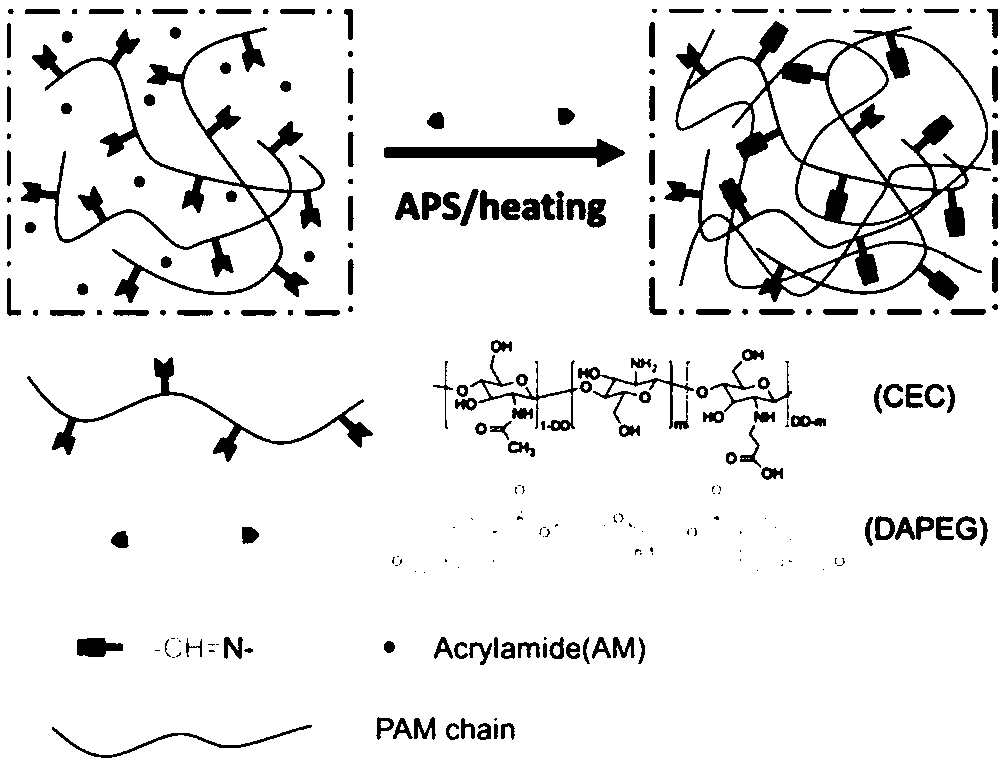 Dual-network hydrogel with high-toughness, shape-memory and self-repairing characteristics and preparation method of dual-network hydrogel