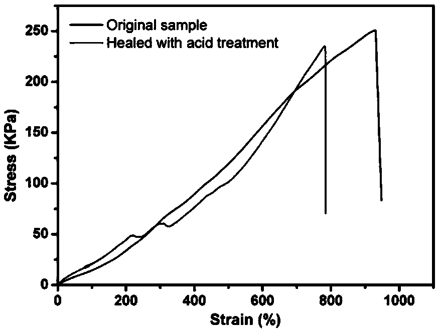 Dual-network hydrogel with high-toughness, shape-memory and self-repairing characteristics and preparation method of dual-network hydrogel