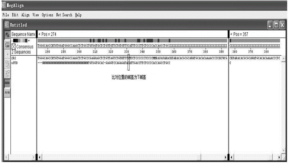 Primer capable of detecting CYP2C9*2 gene mutation, and detection method