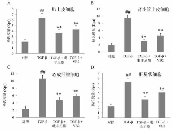 Use of vitamin b2 in the preparation of medicines for preventing and treating fibrotic diseases