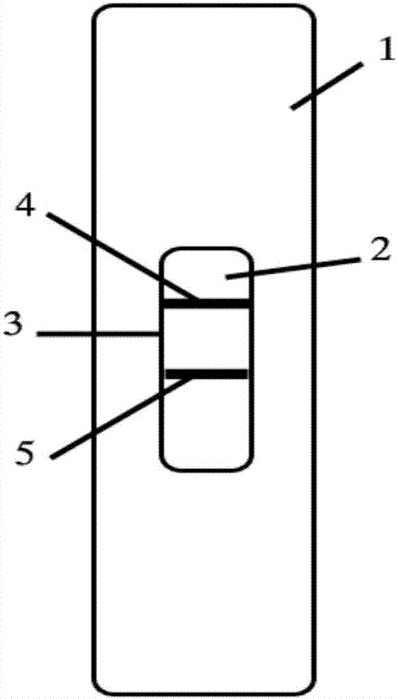 Quality control detection card and detection kit of fluorescent immunochromatography instrument, and preparation method and detection method thereof