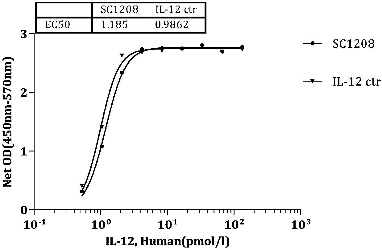 Single-domain antibody fusion protein and application thereof