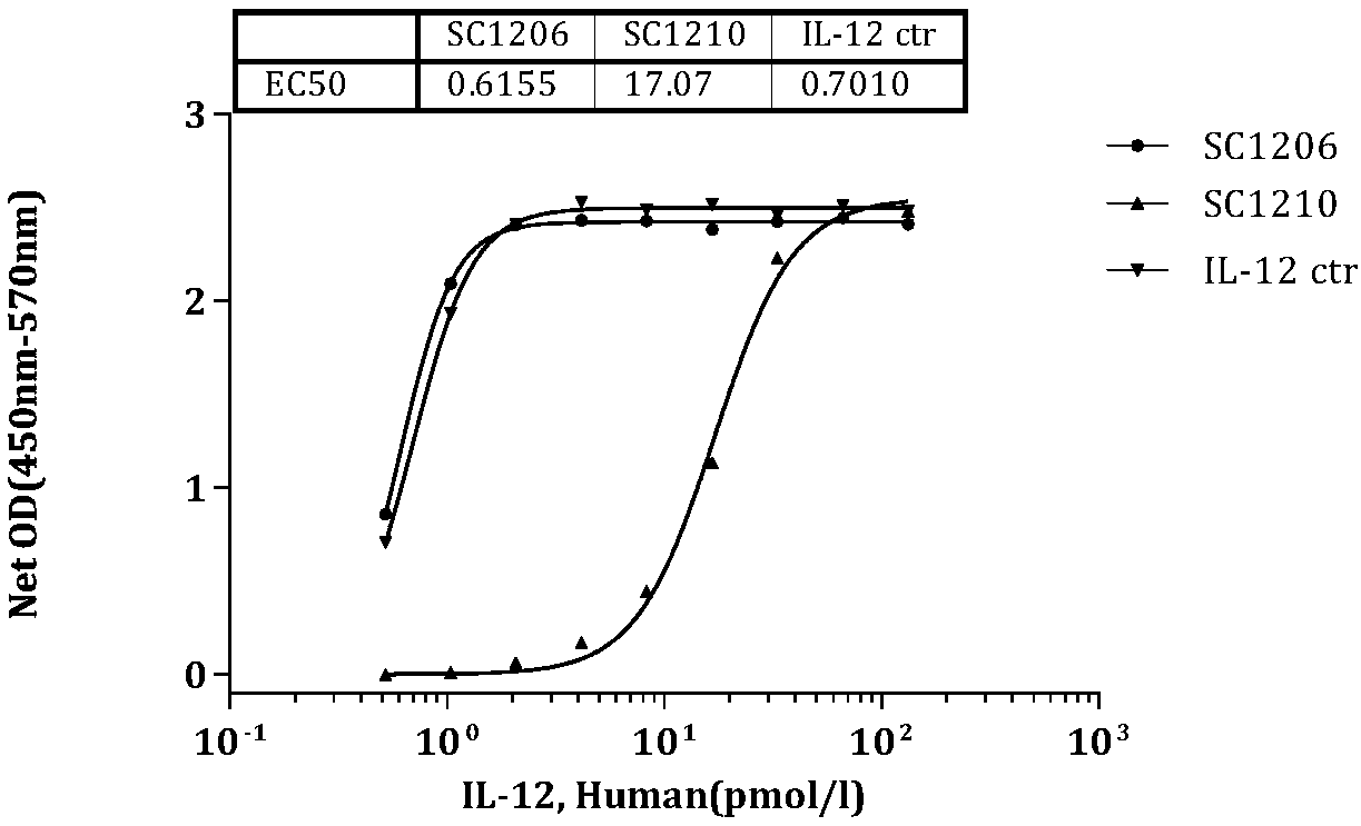 Single-domain antibody fusion protein and application thereof