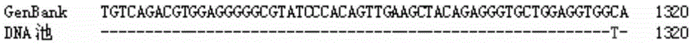 Molecular marker related to porcine reproduction traits based on PGR genes and detection method and application of molecular marker