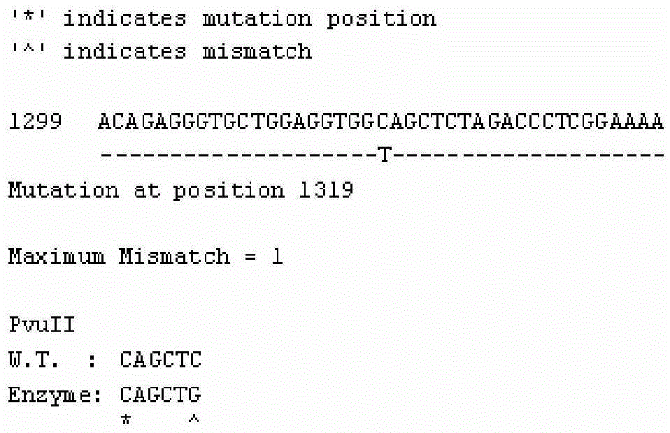 Molecular marker related to porcine reproduction traits based on PGR genes and detection method and application of molecular marker