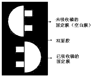 Diffusive gradients in thin films (DGT) method for determination of phosphorus content on the basis of computer-imaging densitometry (CID) technology