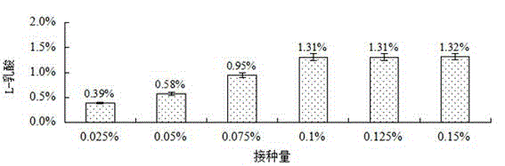 Probiotic corn leavening agent capable of increasing content of L-lactic acid and application of probiotic corn leavening agent