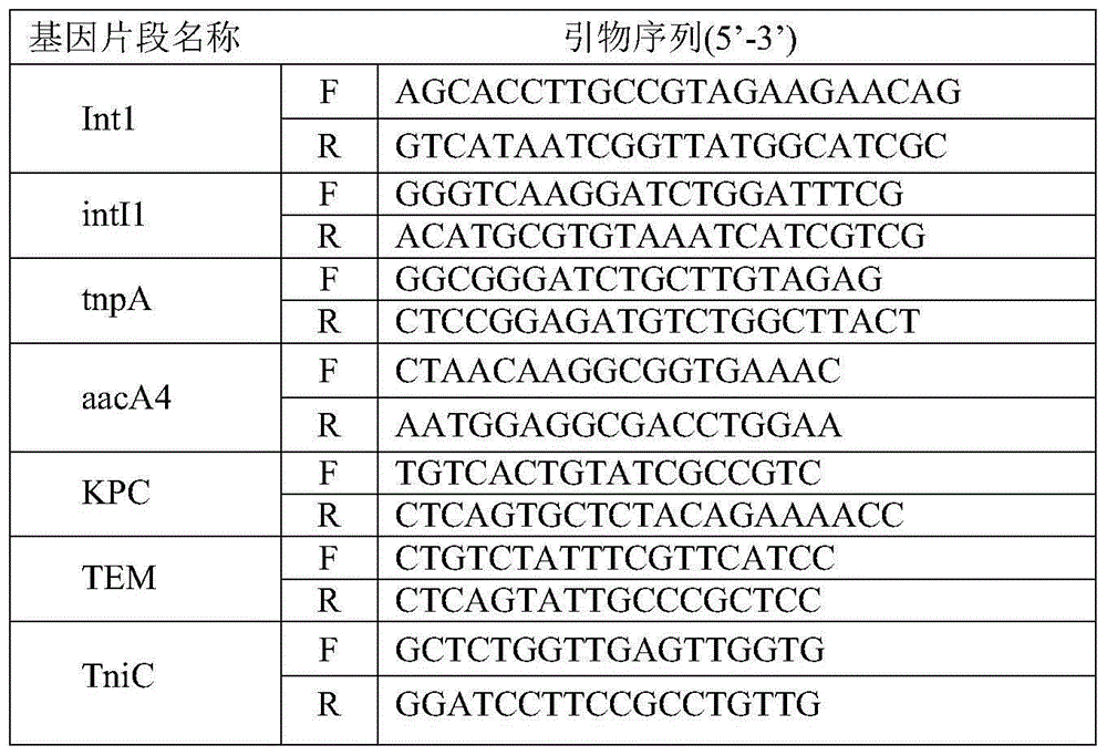 Integron In0