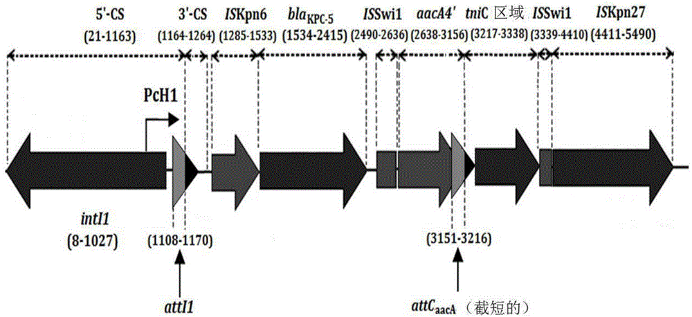 Integron In0