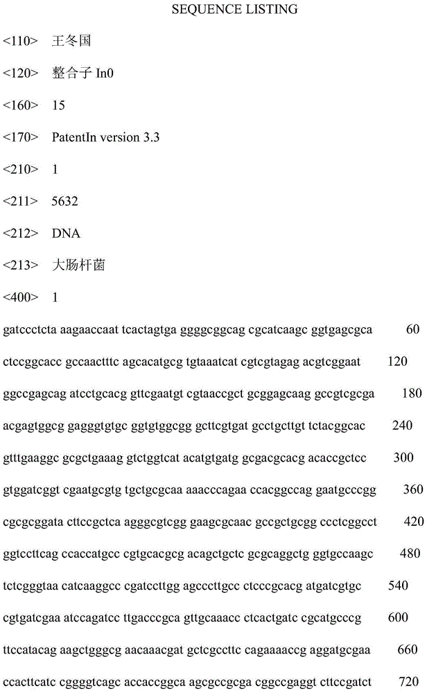 Integron In0