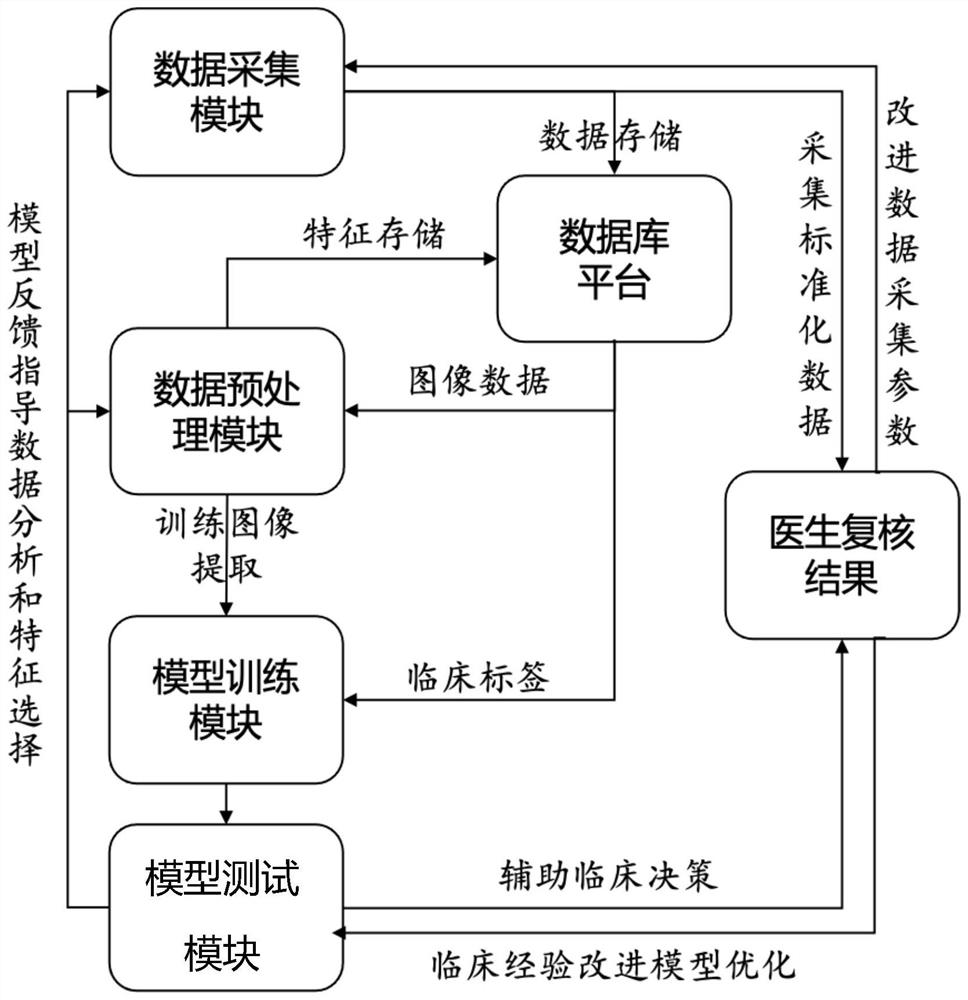 Cervical cell image screening method and system, computer equipment and storage medium