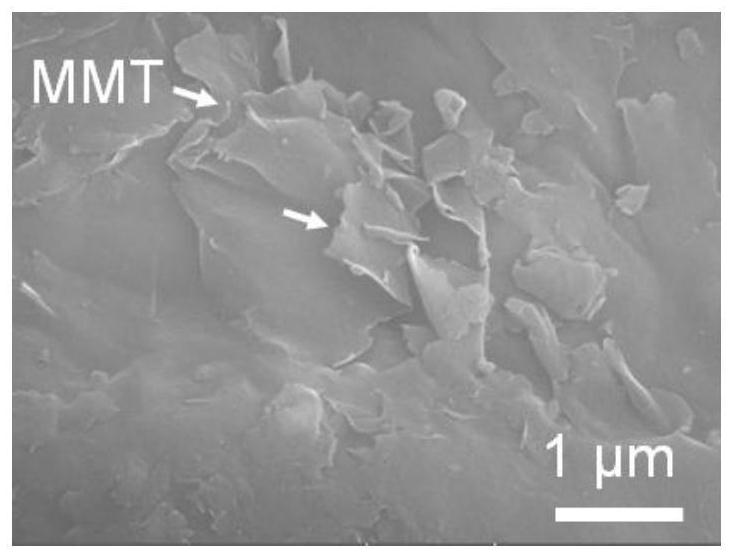 Montmorillonite-melanin composite hemostatic powder as well as preparation method and application thereof