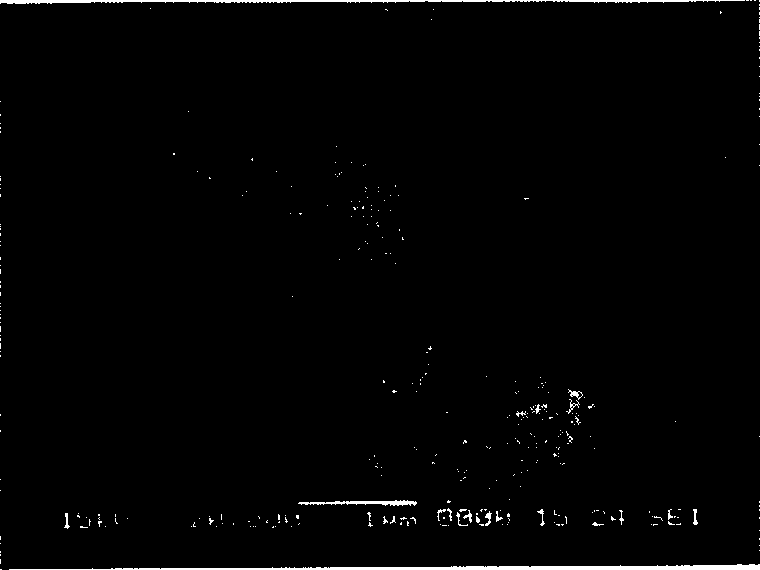 Method for preparing porous super fine calcium carbonate