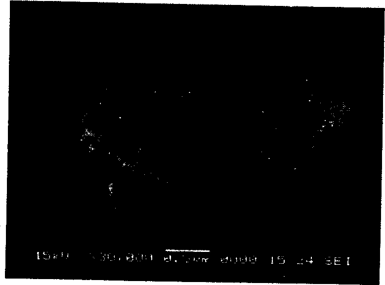 Method for preparing porous super fine calcium carbonate