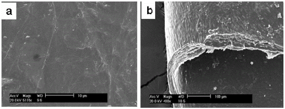 Preparation and application of cellulose nanocrystals (CNCs)-reinforced collagen compound substrate