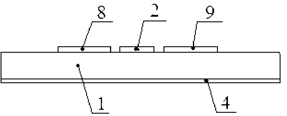 Miniaturization double-band-elimination ultra-wide-band microstrip antenna