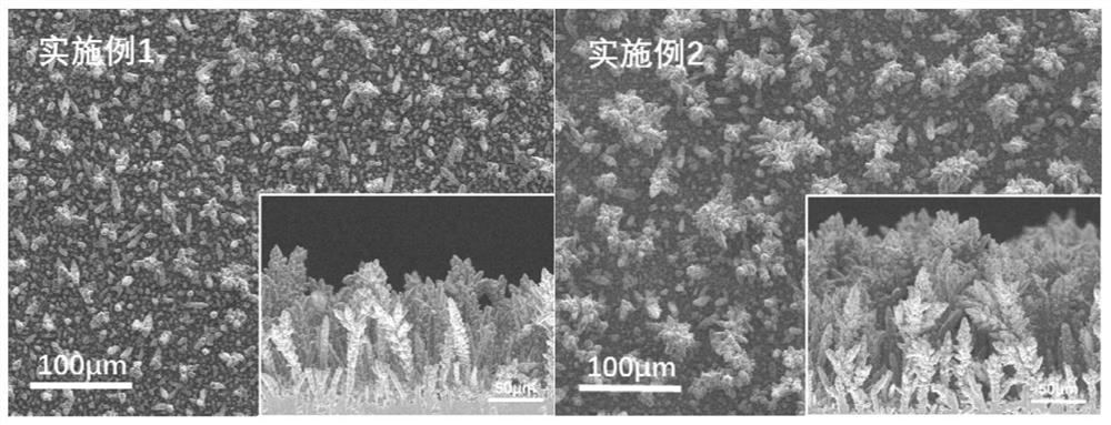 Ultrathin bionic forest-shaped wick structure with high capillary performance and preparation method thereof