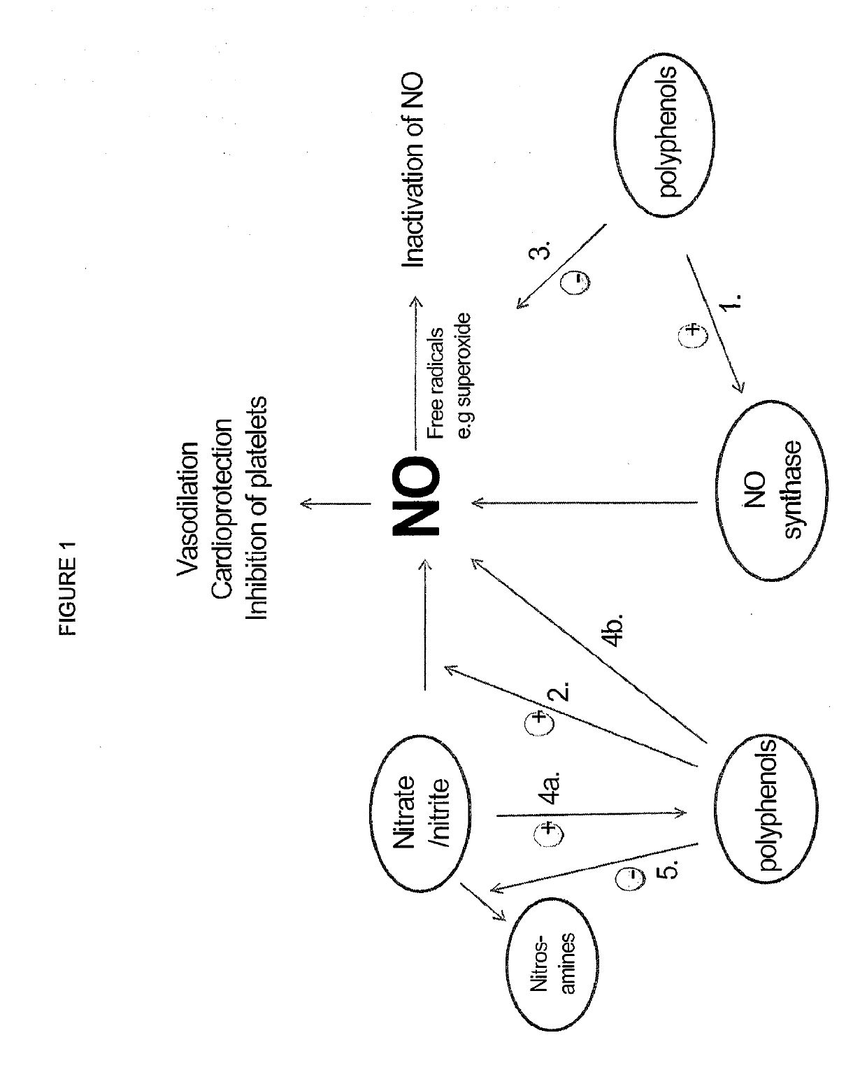 Compositions of nitrates and methods of use thereof