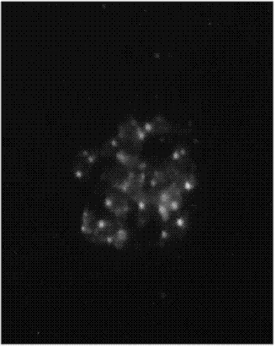 Oral vaccine strain for recombined rabies virus and preparation method thereof