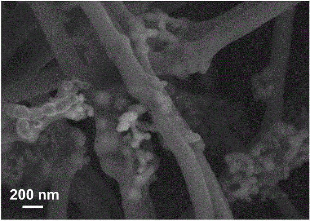 Silicon/carbon nano composite fiber and application thereof