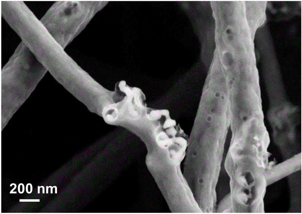 Silicon/carbon nano composite fiber and application thereof