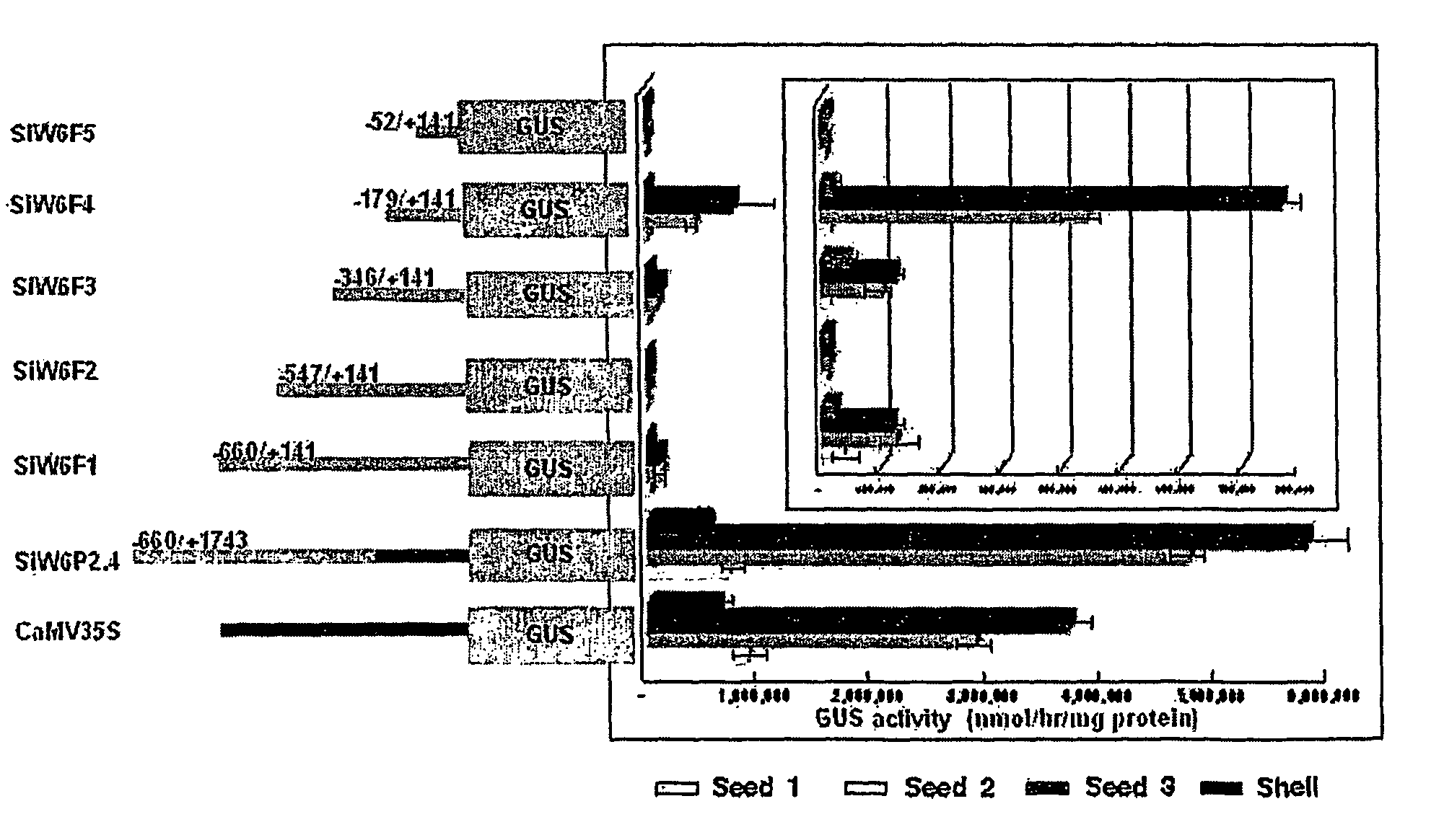 Plant seed-specific expression promoter derived from sesame and seed-specific expression vector comprising the promoter