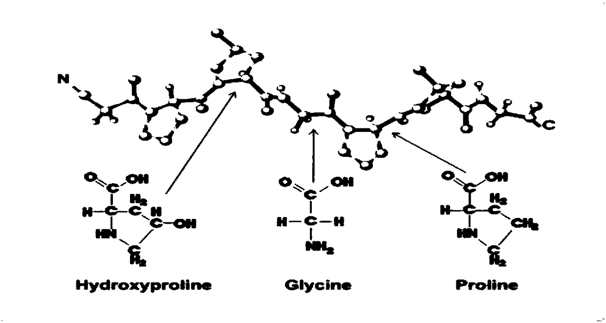 Nutritional composition capable of promoting wound healing, bedsore restoration, and postoperative stress ulcer healing