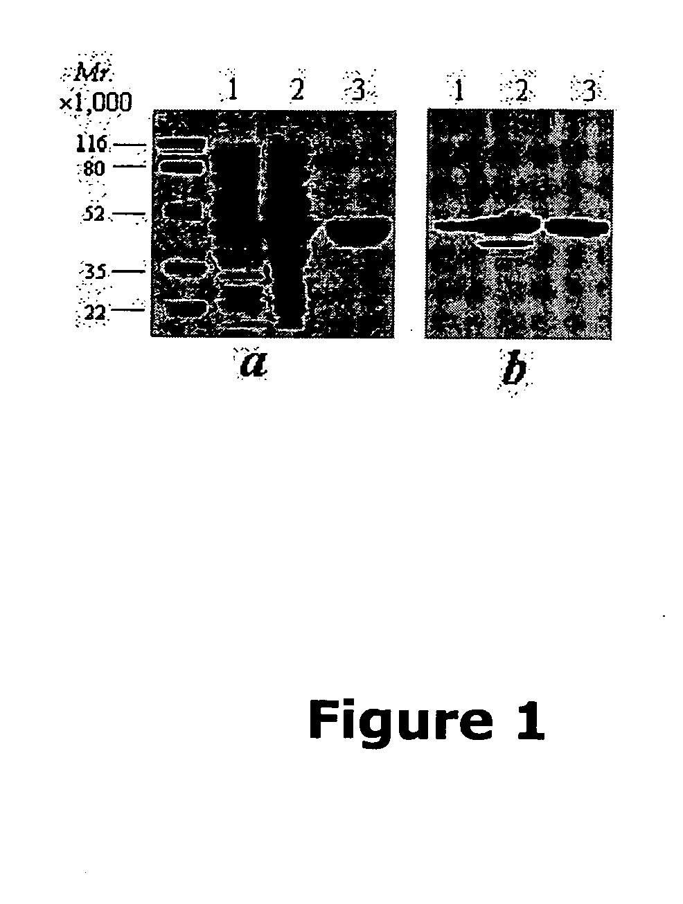 Compounds useful in inhibiting vascular leakage, inflammation and fibrosis and methods of making and using same