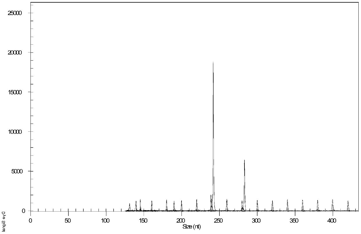 ssr primer set and method for constructing malt fingerprint by using the primer set