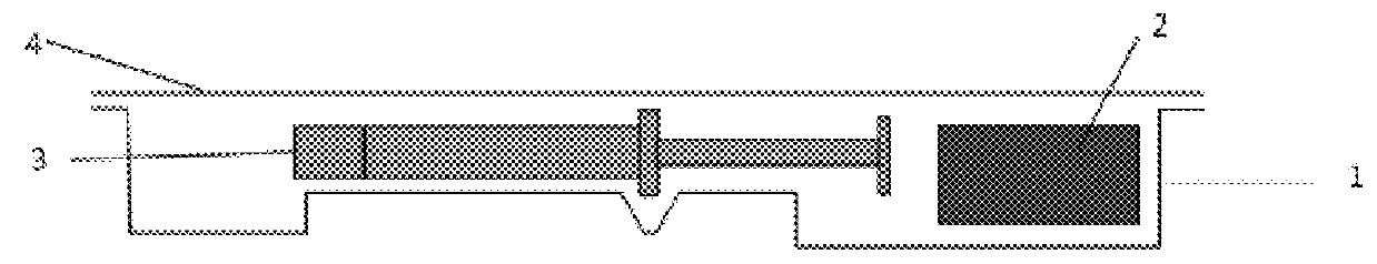 Packaging system for oxygen-sensitive drugs