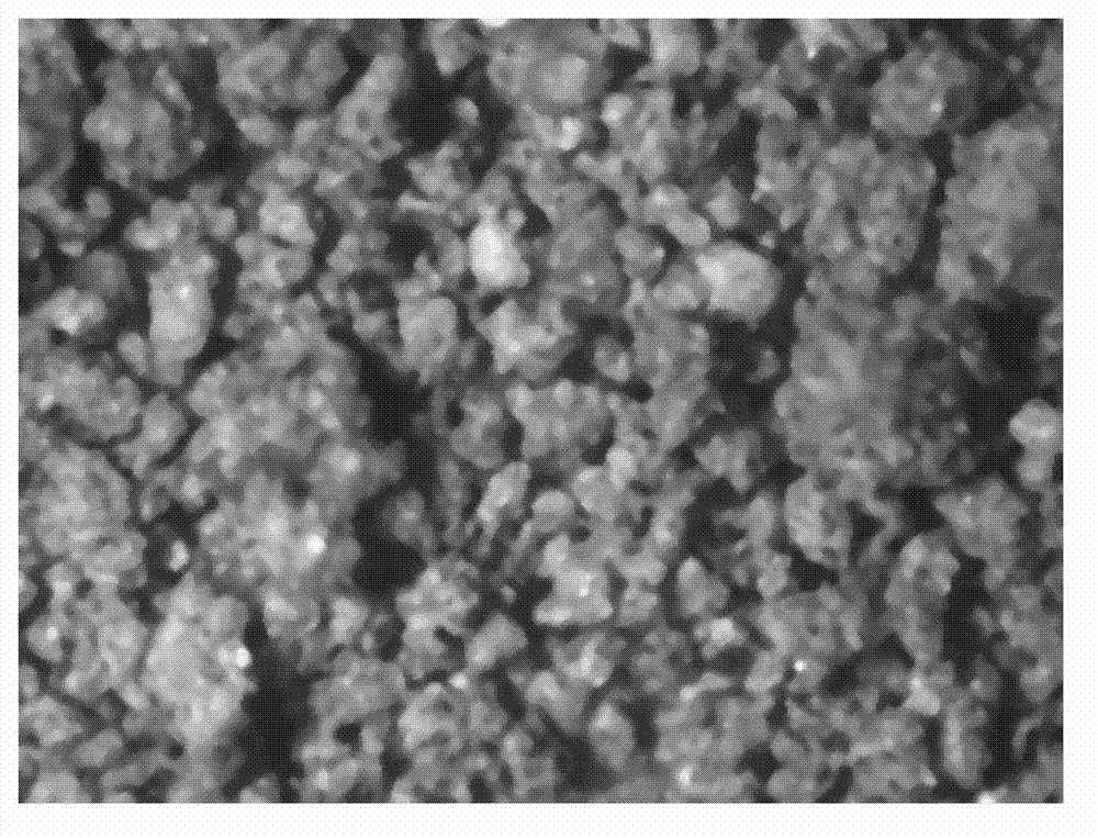 Soil porosity detection method based on SFS (Shape from Shading) algorithm