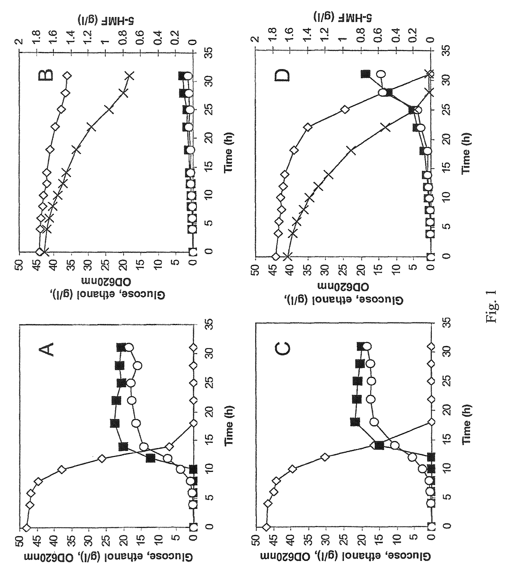 Polypeptide having NADH dependent HMF reductase activity