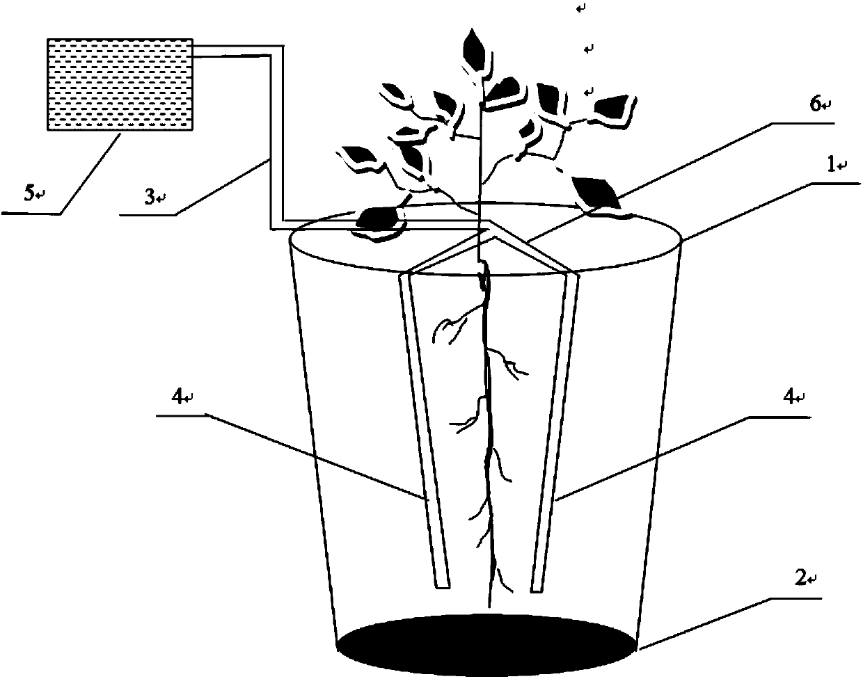 Cultivation trough for stably supplying soil water for tap root crops